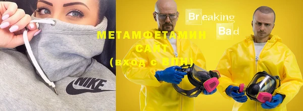 шишки Верея