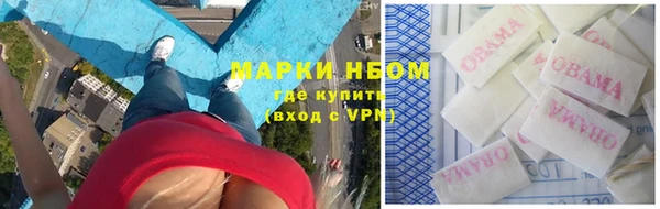 шишки Верея
