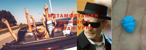шишки Верея