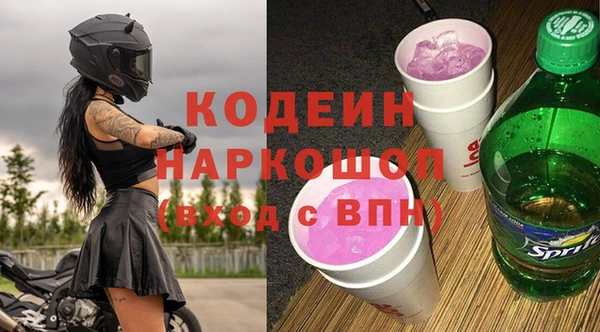 шишки Верея
