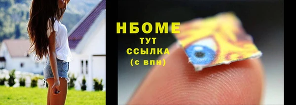 шишки Верея