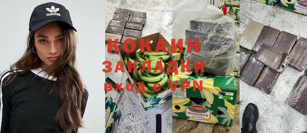 шишки Верея