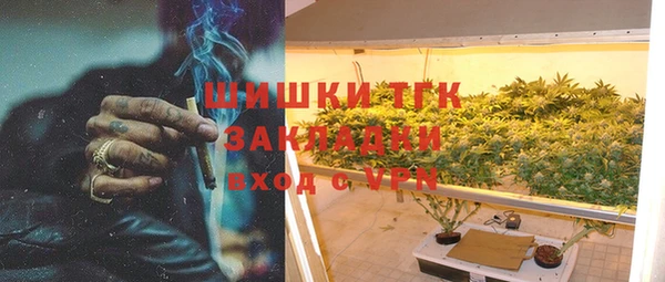 индика Бородино