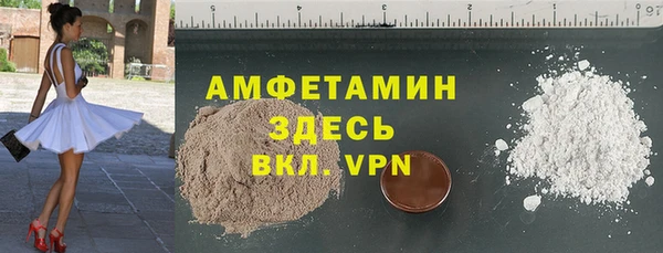 индика Бородино