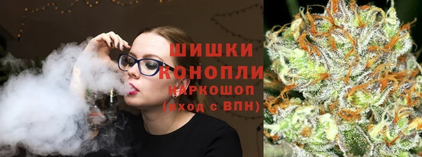 шишки Верея
