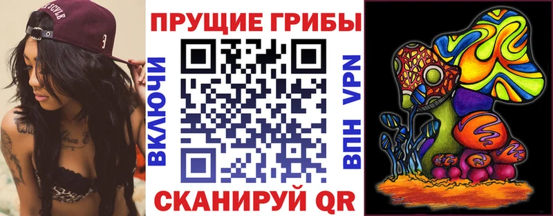 Купить где  Красноармейск  Псилоцибиновые грибы Psilocybine cubensis 